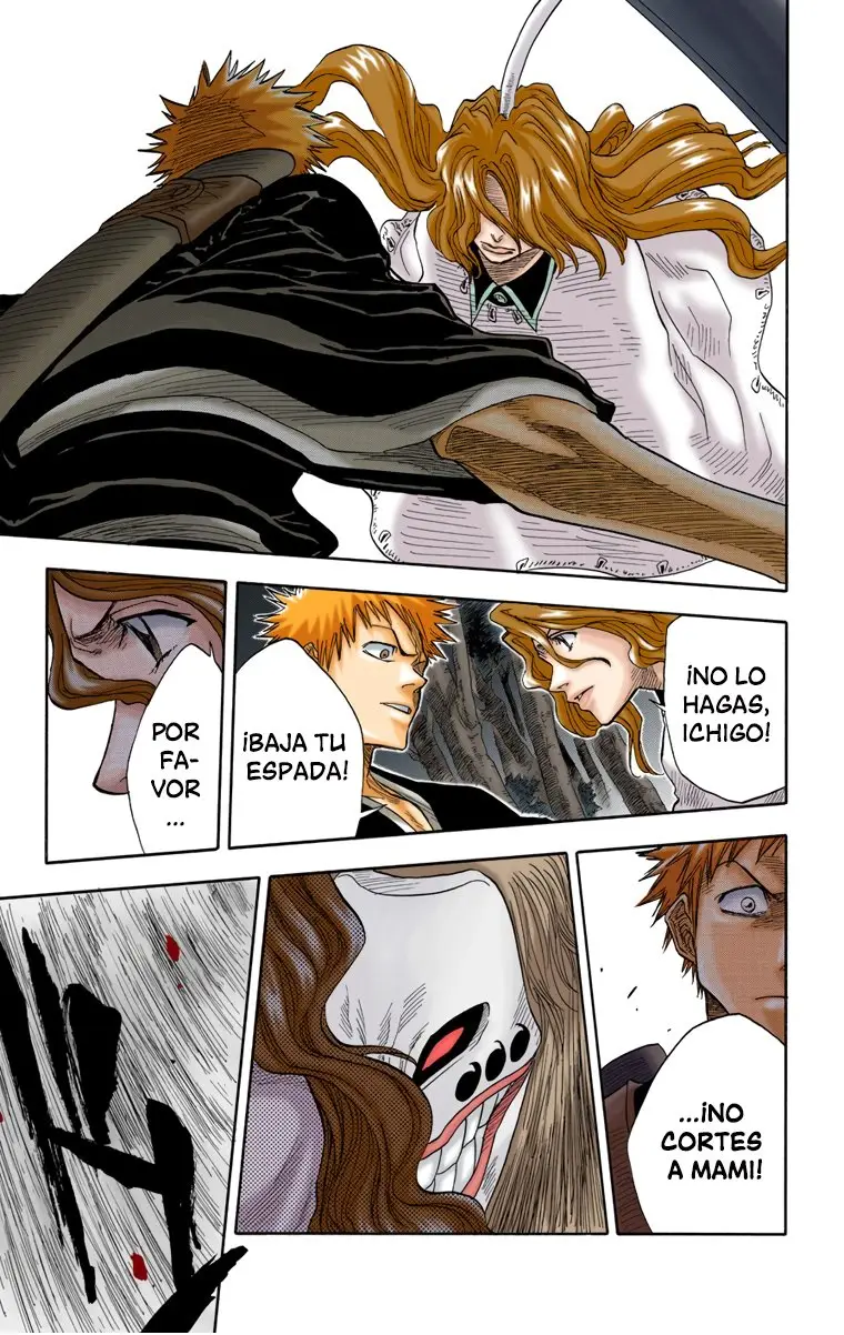 Bleach (Color) capítulo 23, página 16