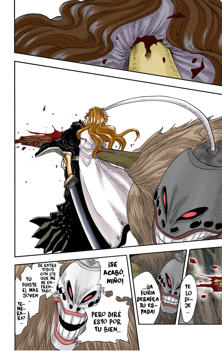 Bleach (Color) capítulo 23, página 17