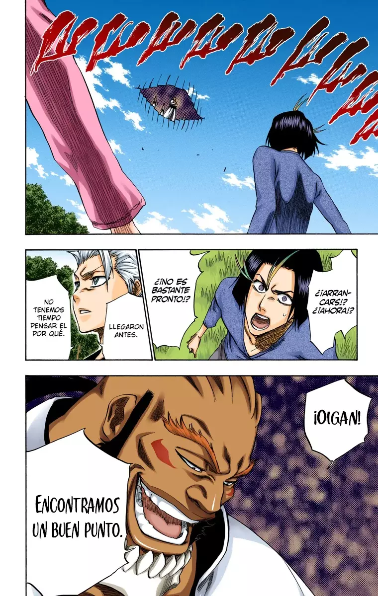 Bleach (Color) capítulo 230, página 10