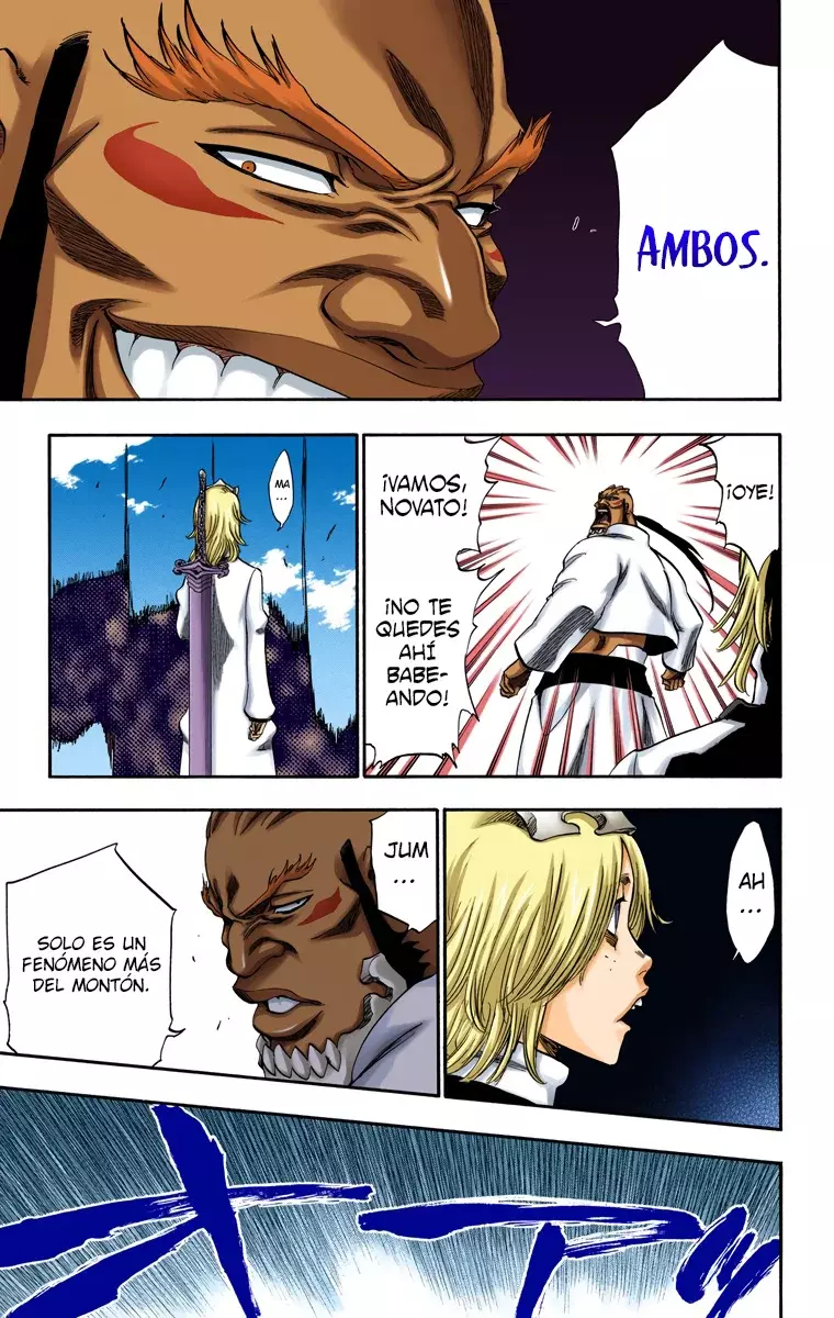 Bleach (Color) capítulo 230, página 13