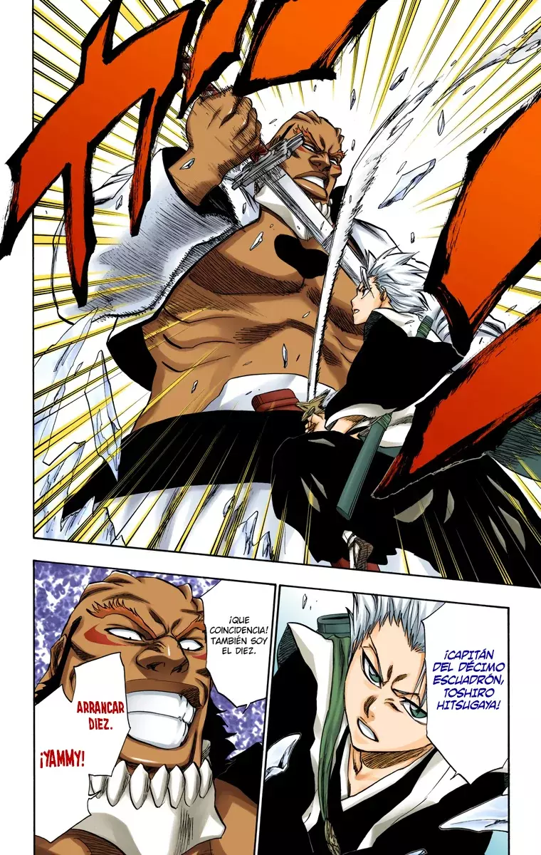 Bleach (Color) capítulo 230, página 14