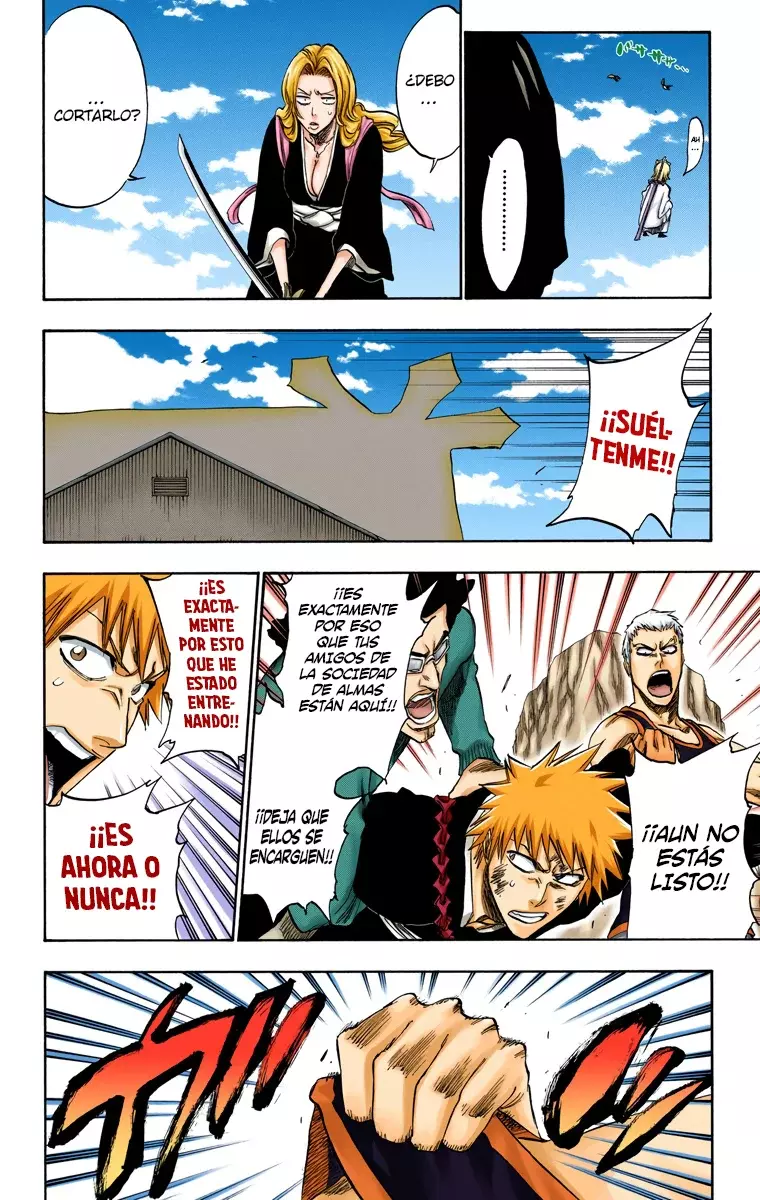 Bleach (Color) capítulo 230, página 16
