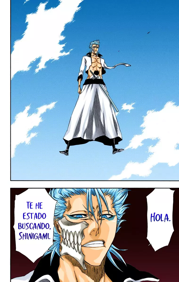 Bleach (Color) capítulo 230, página 18