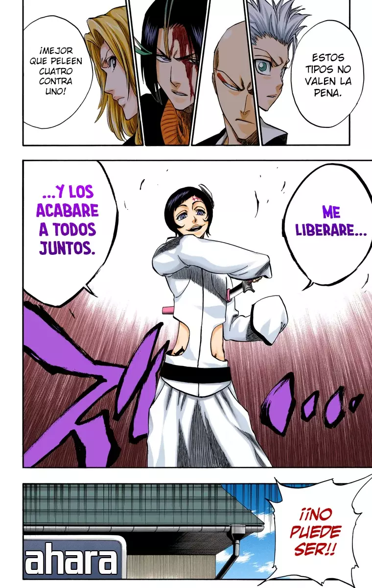 Bleach (Color) capítulo 231, página 19