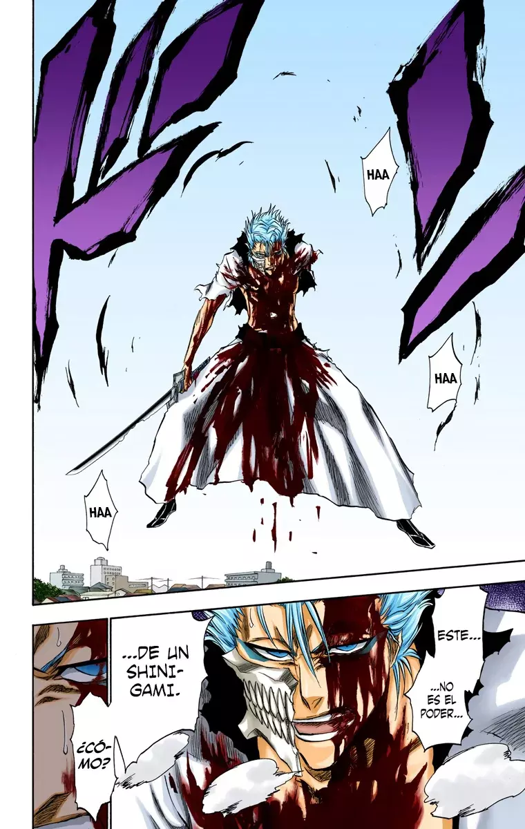 Bleach (Color) capítulo 232, página 13