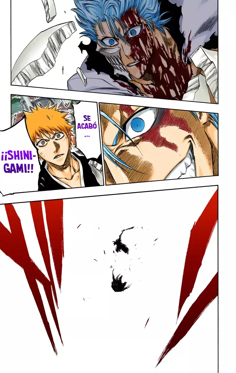 Bleach (Color) capítulo 232, página 20