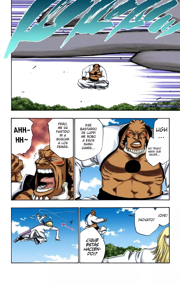 Bleach (Color) capítulo 233, página 9