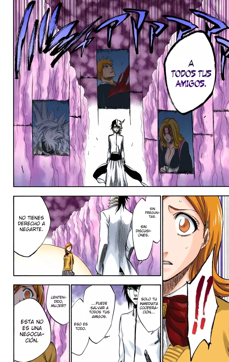 Bleach (Color) capítulo 234, página 13