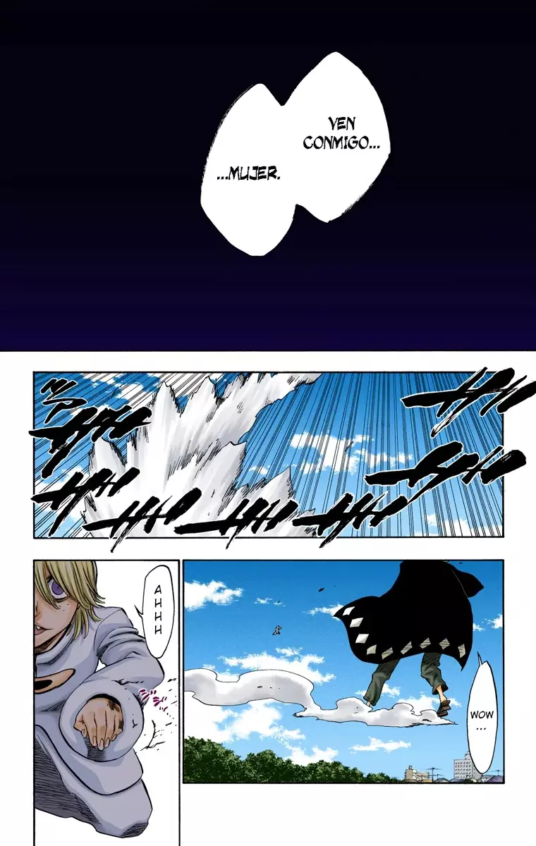 Bleach (Color) capítulo 234, página 15