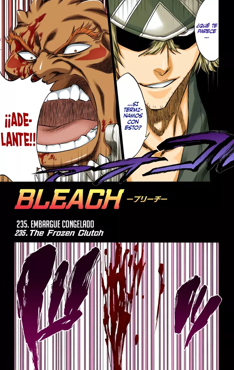 Bleach (Color) capítulo 235, página 10