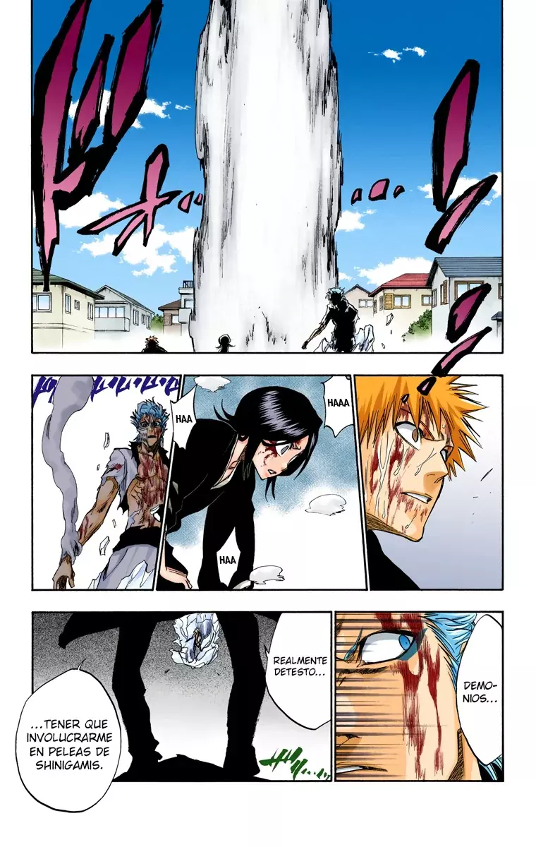 Bleach (Color) capítulo 236, página 4
