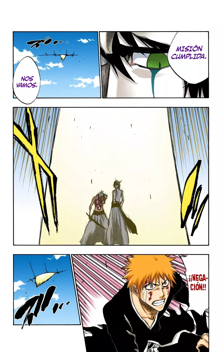 Bleach (Color) capítulo 236, página 16