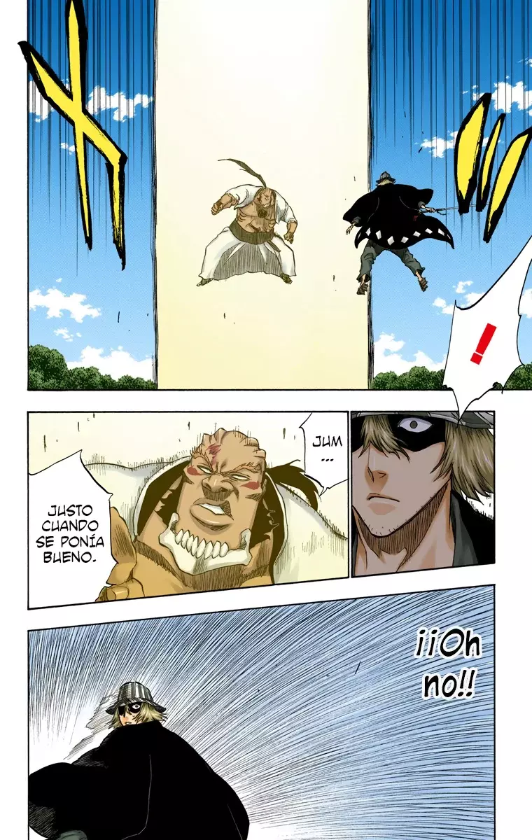Bleach (Color) capítulo 236, página 17