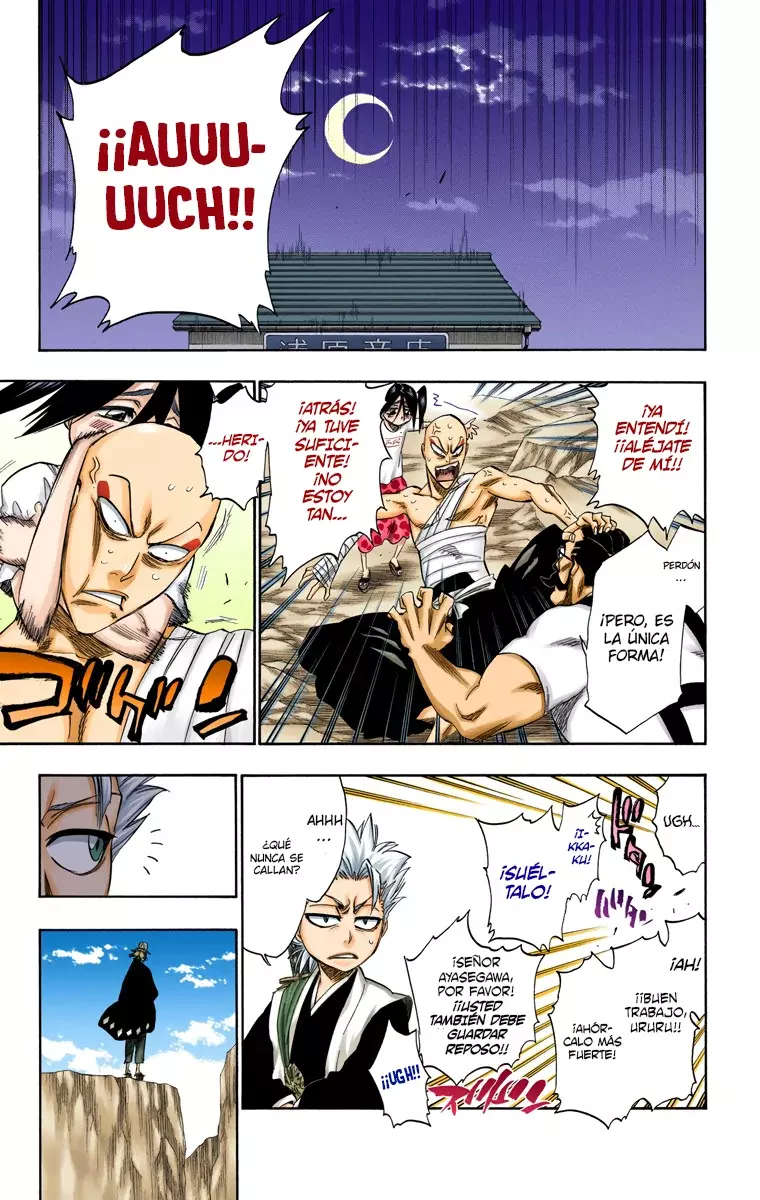 Bleach (Color) capítulo 237, página 6