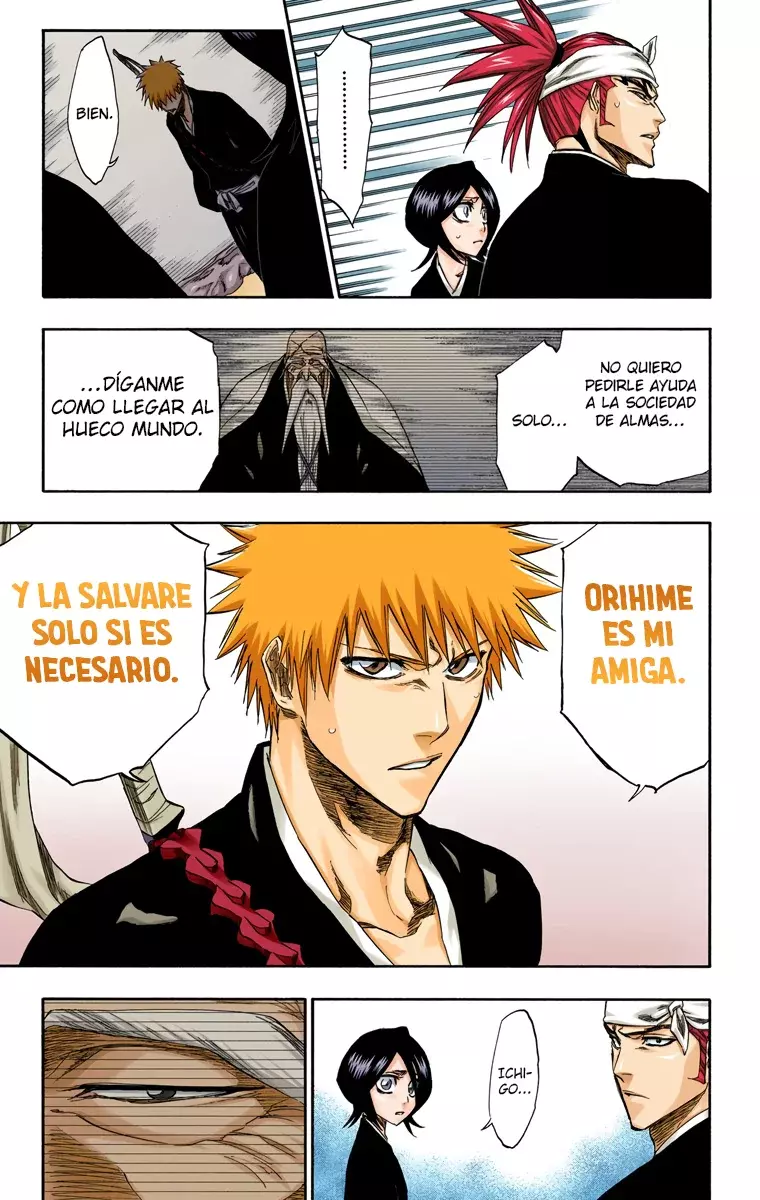 Bleach (Color) capítulo 238, página 17