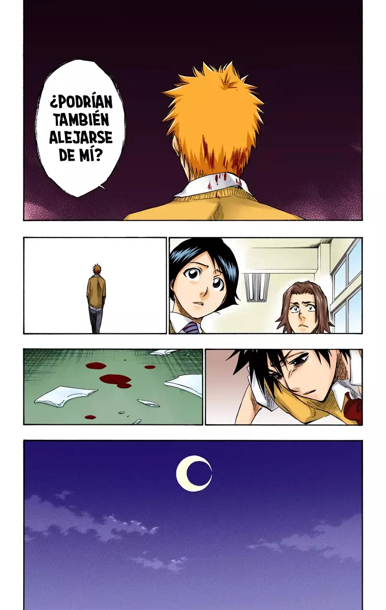 Bleach (Color) capítulo 239, página 15