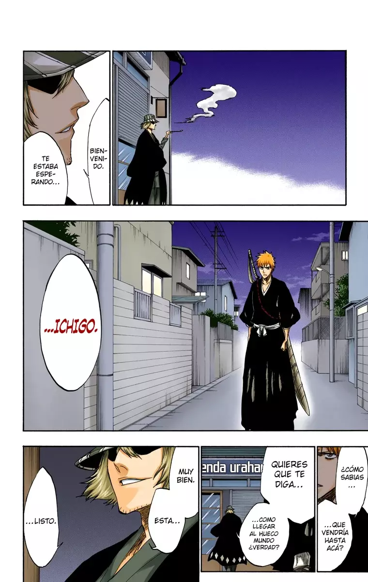 Bleach (Color) capítulo 239, página 16