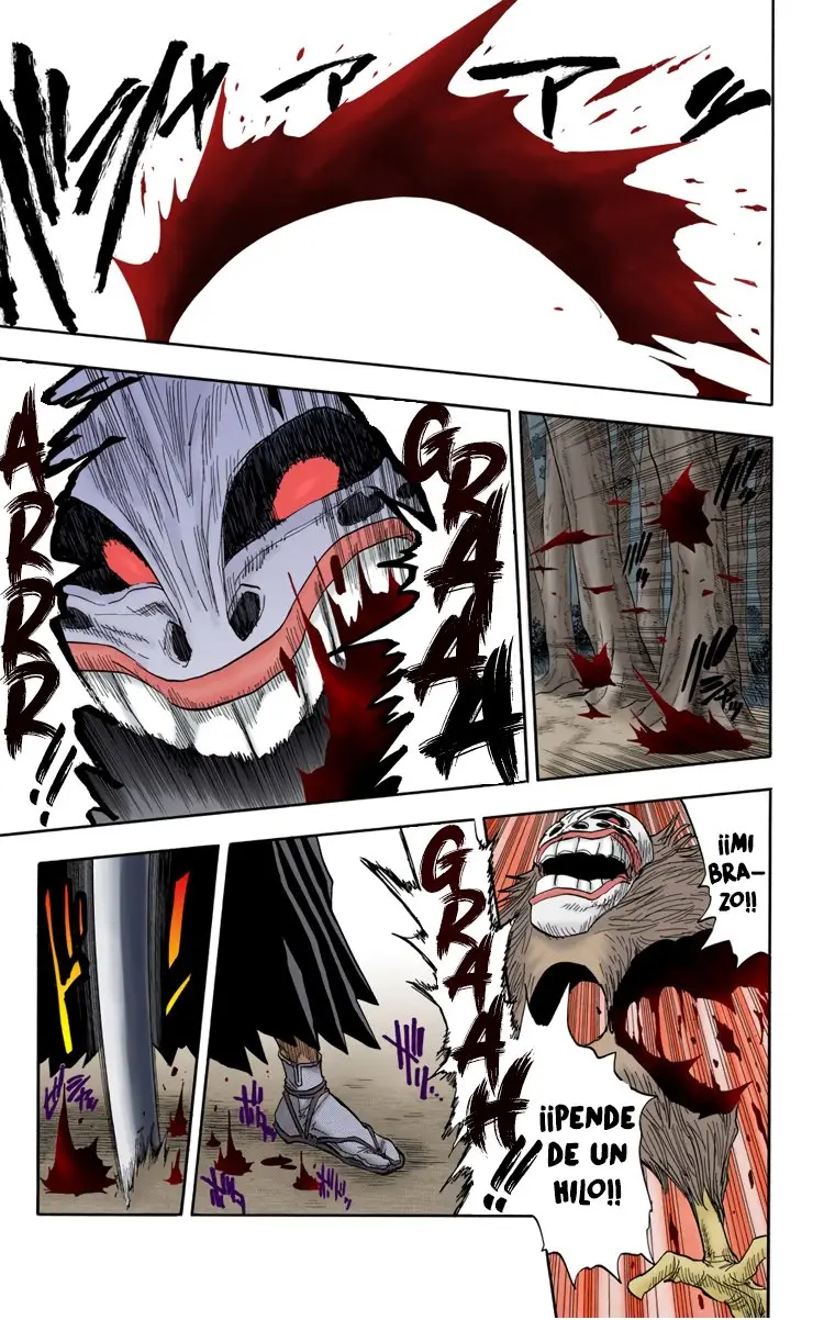 Bleach (Color) capítulo 24, página 8