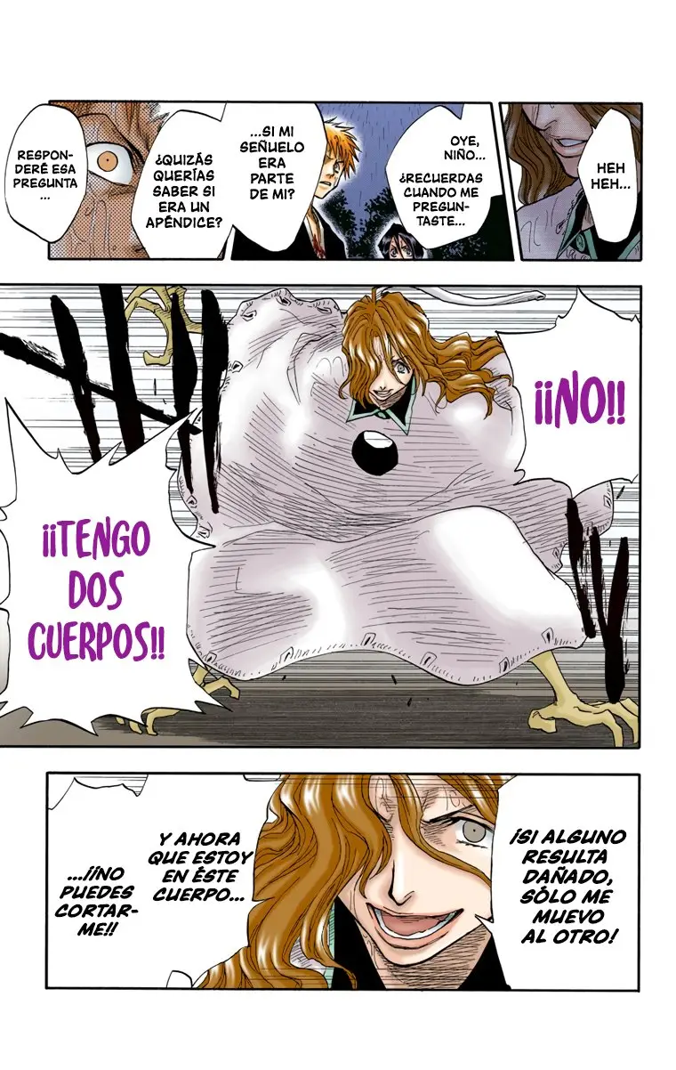 Bleach (Color) capítulo 24, página 14