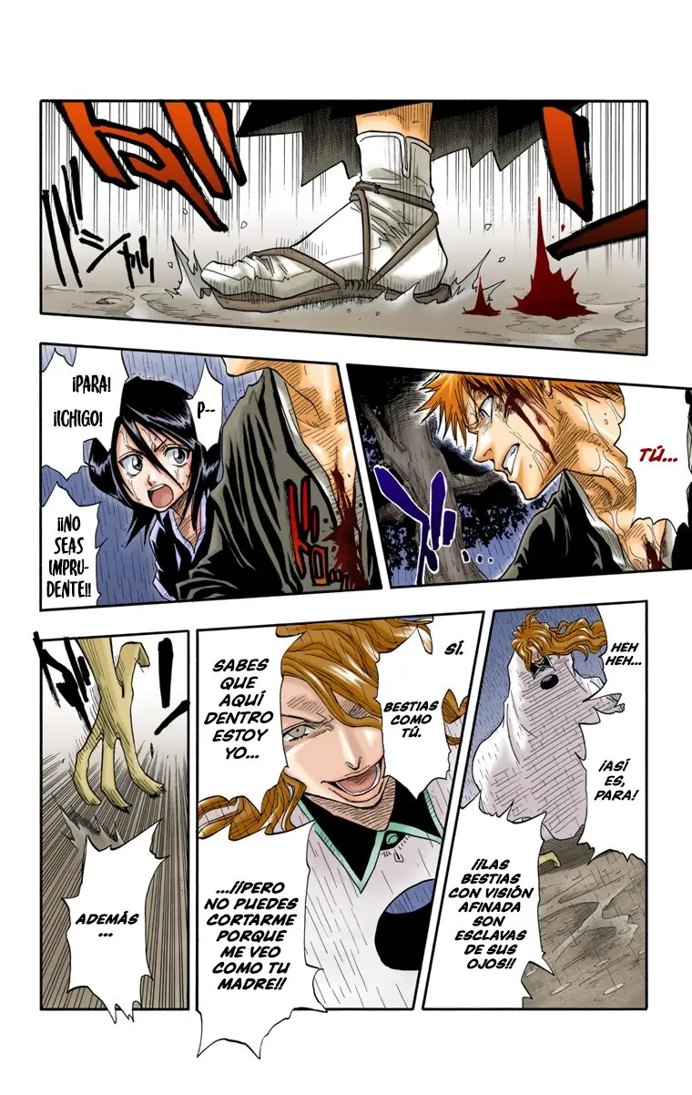 Bleach (Color) capítulo 24, página 17