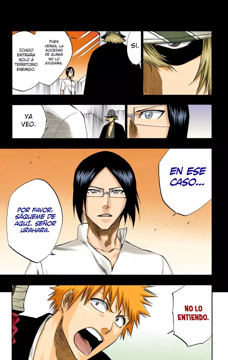 Bleach (Color) capítulo 241, página 8