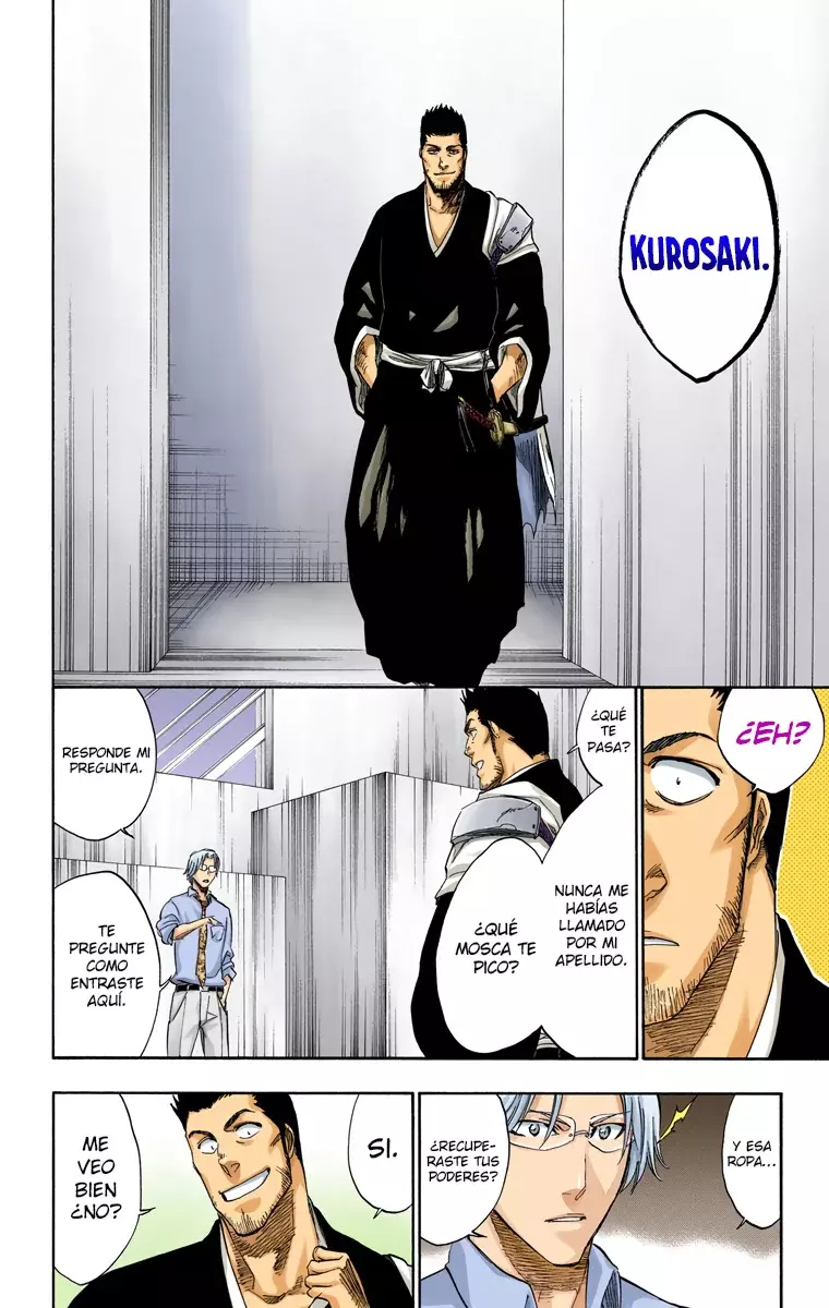 Bleach (Color) capítulo 241, página 11