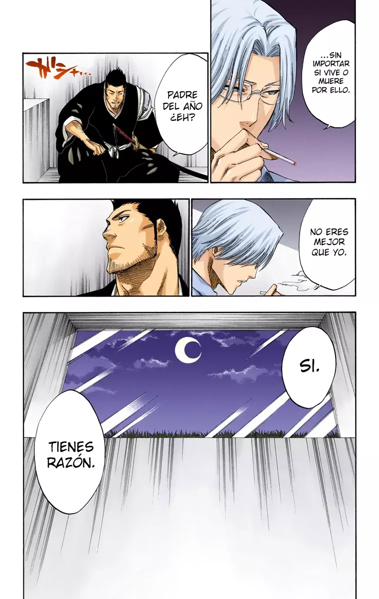 Bleach (Color) capítulo 241, página 13