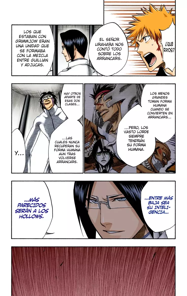 Bleach (Color) capítulo 242, página 10