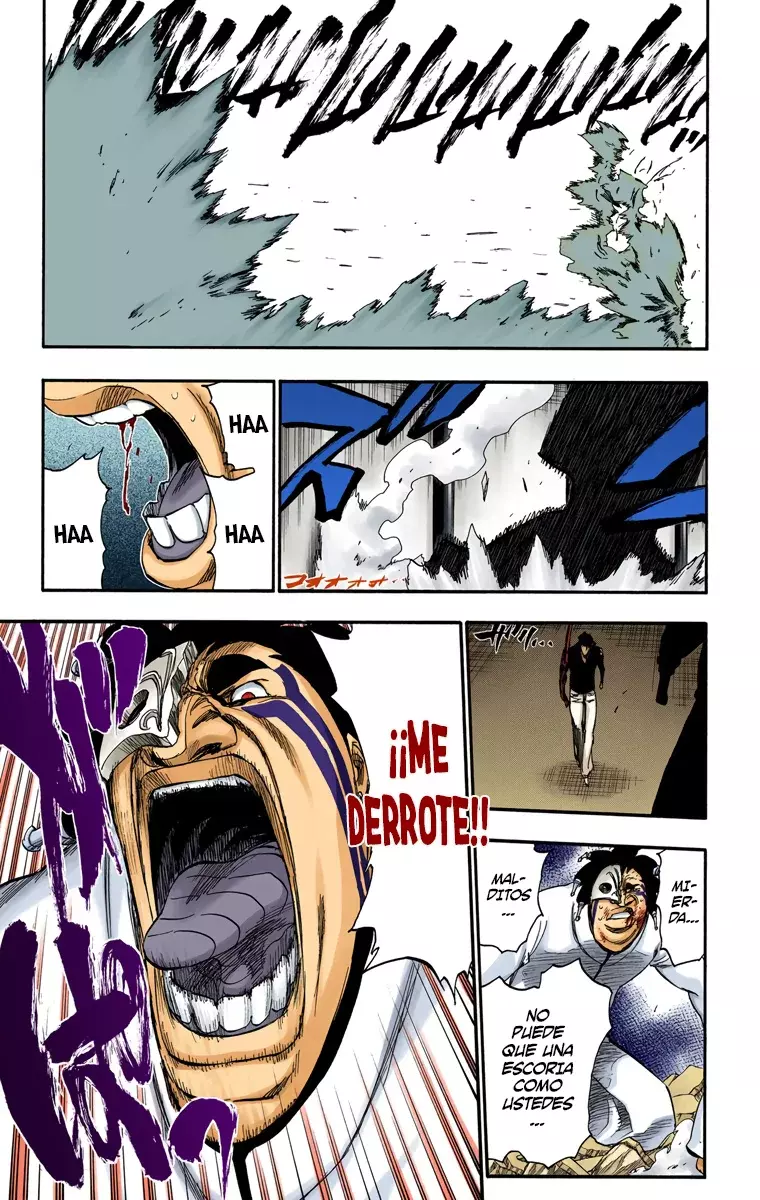 Bleach (Color) capítulo 243, página 20