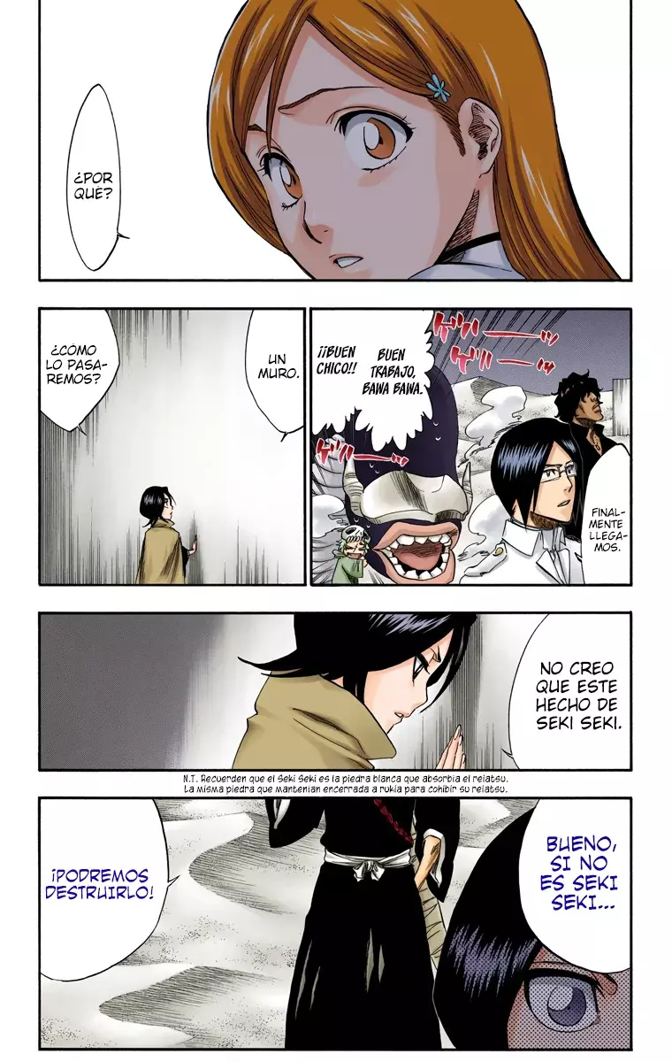 Bleach (Color) capítulo 247, página 19