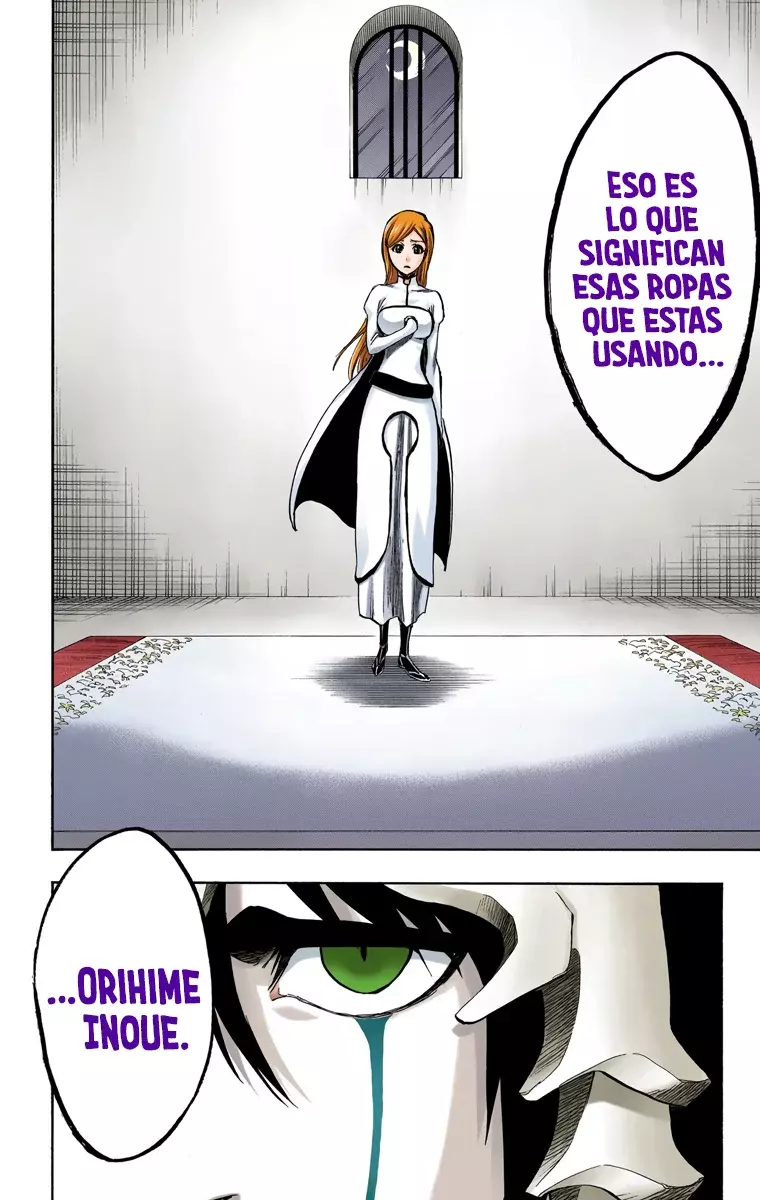 Bleach (Color) capítulo 248, página 3