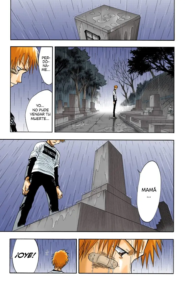 Bleach (Color) capítulo 25, página 7
