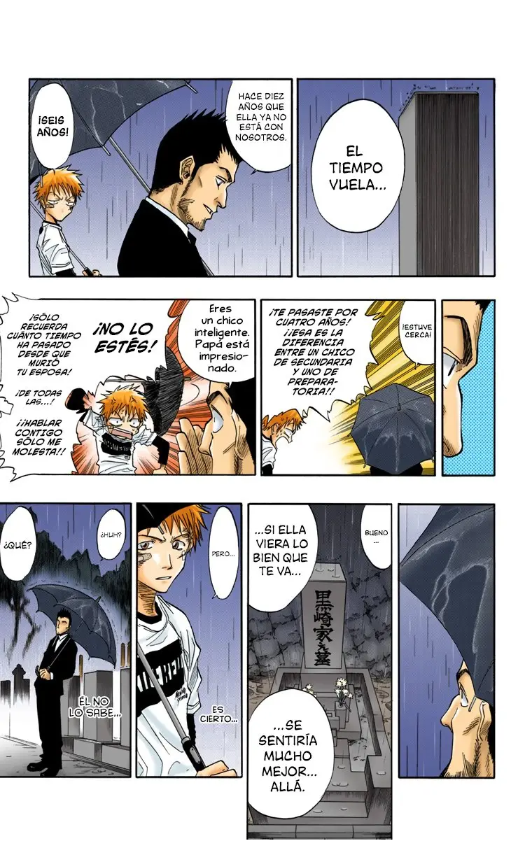 Bleach (Color) capítulo 25, página 9
