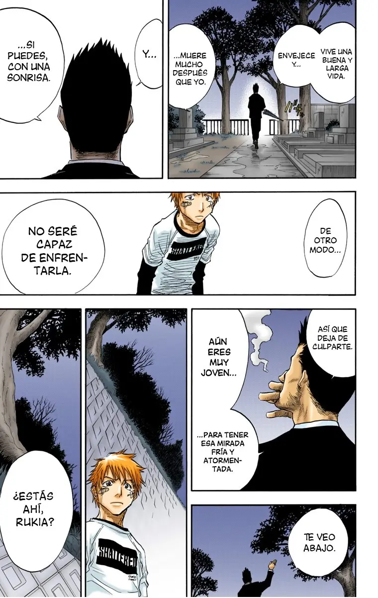 Bleach (Color) capítulo 25, página 15