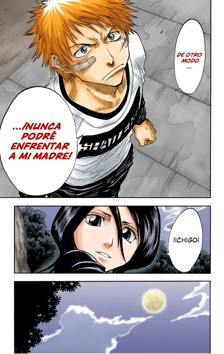 Bleach (Color) capítulo 25, página 17