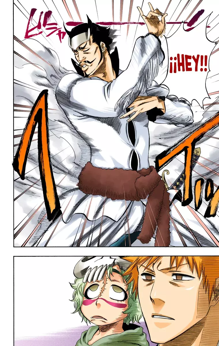 Bleach (Color) capítulo 250, página 11
