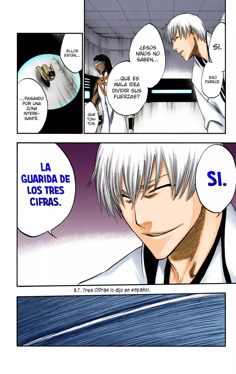 Bleach (Color) capítulo 250, página 17