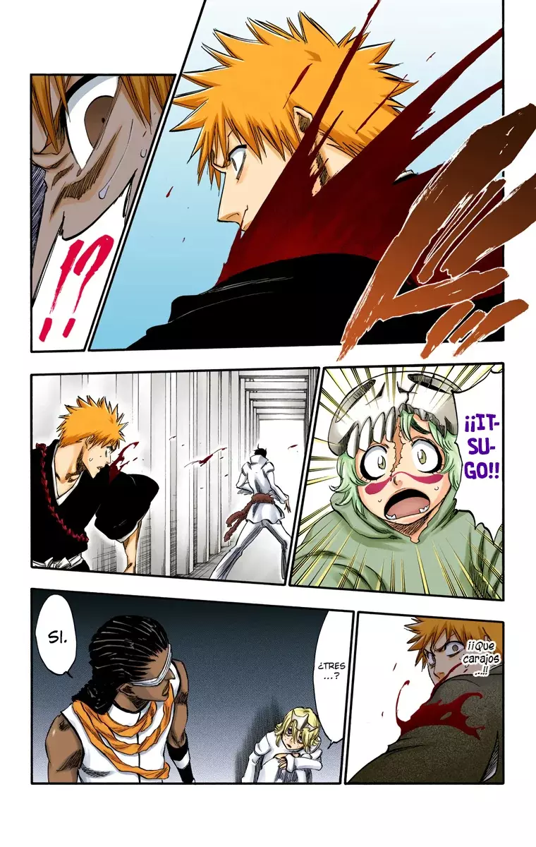 Bleach (Color) capítulo 250, página 18