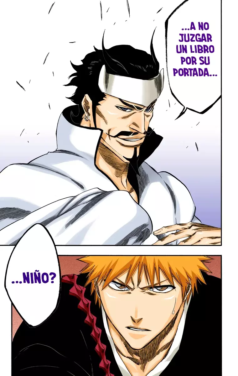 Bleach (Color) capítulo 250, página 22