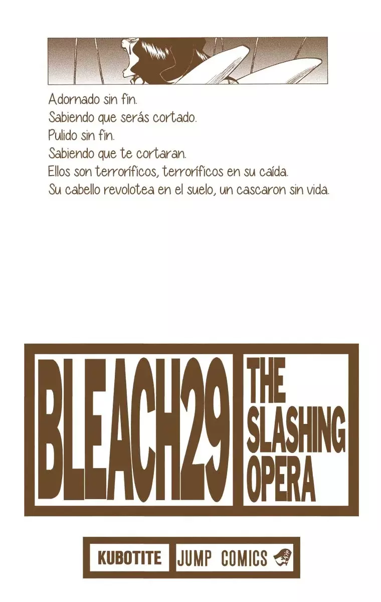 Bleach (Color) capítulo 252, página 3