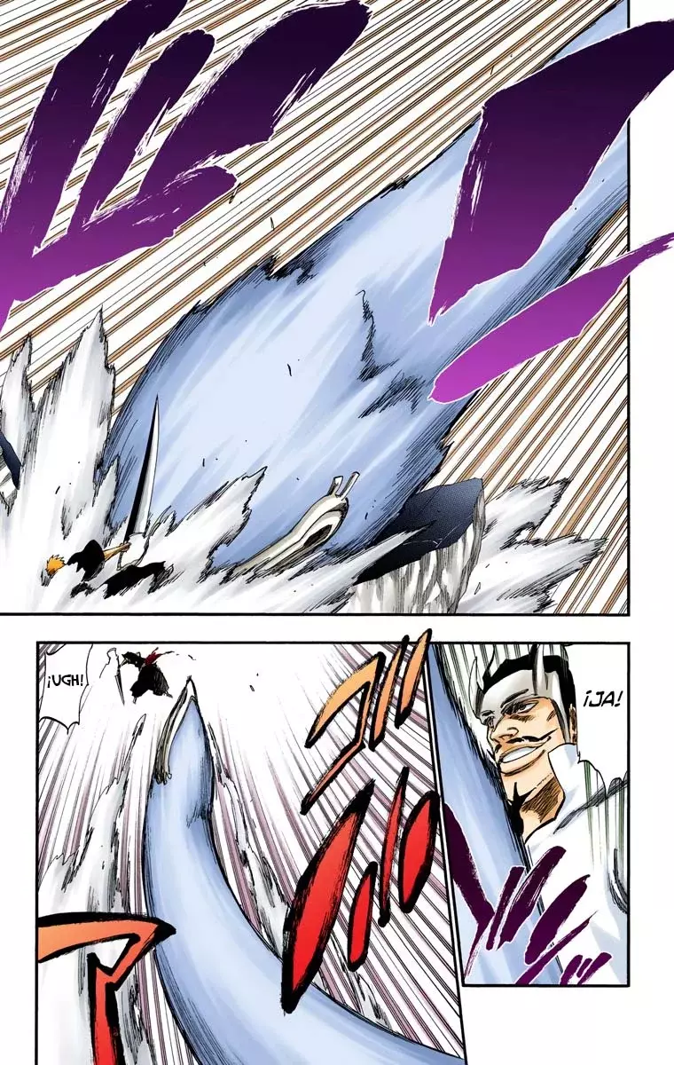 Bleach (Color) capítulo 252, página 13