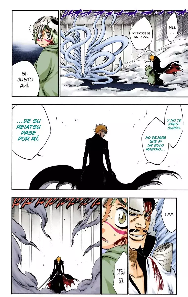 Bleach (Color) capítulo 253, página 13