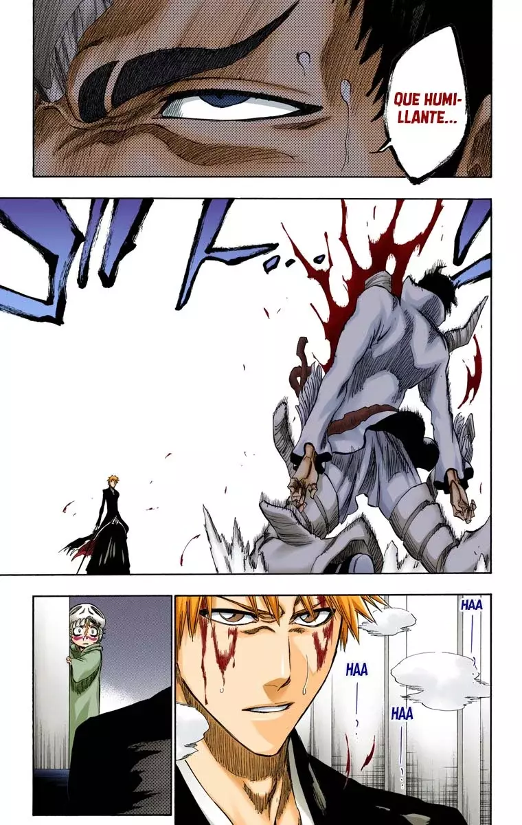 Bleach (Color) capítulo 253, página 20