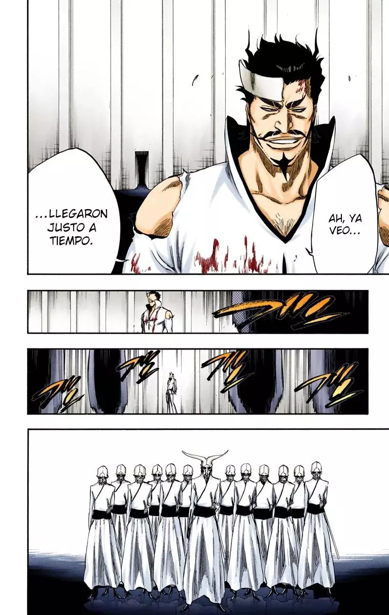 Bleach (Color) capítulo 254, página 13