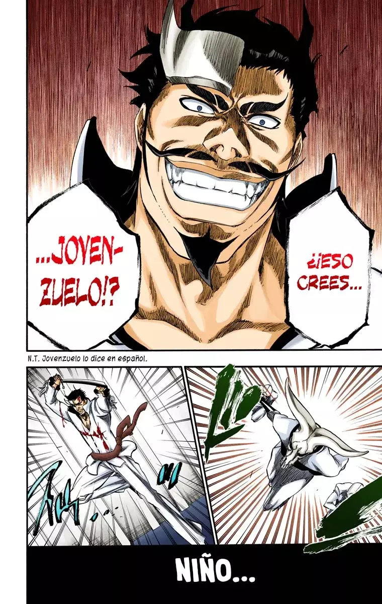 Bleach (Color) capítulo 254, página 15