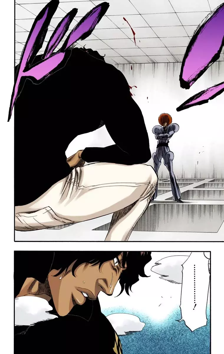 Bleach (Color) capítulo 254, página 19