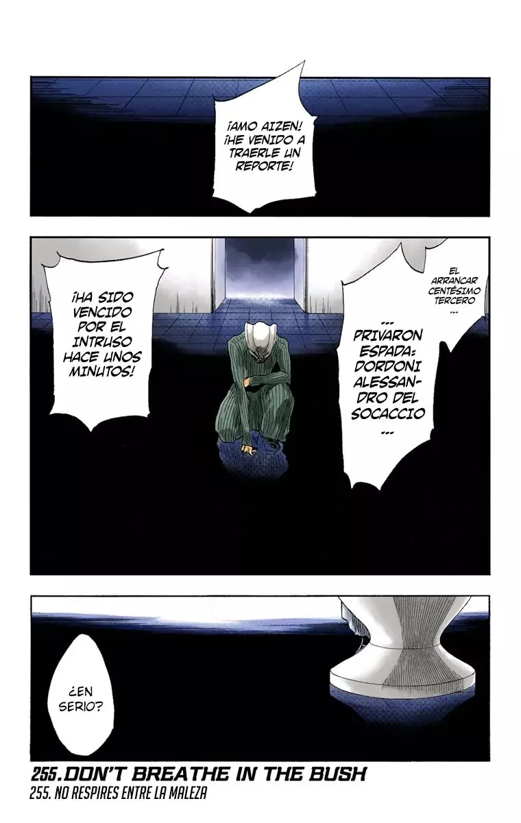Bleach (Color) capítulo 255, página 2