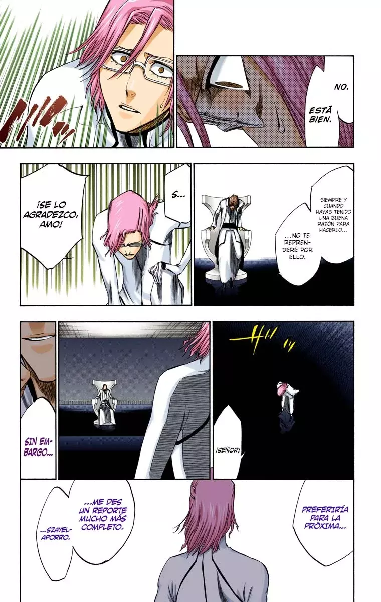 Bleach (Color) capítulo 255, página 7