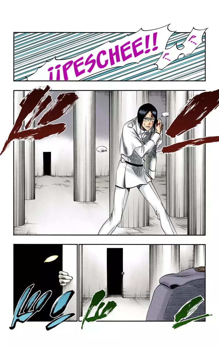 Bleach (Color) capítulo 256, página 6