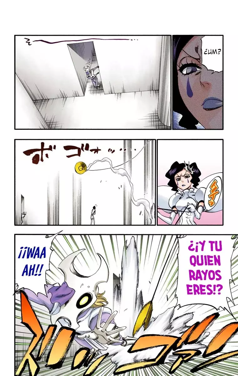 Bleach (Color) capítulo 256, página 9